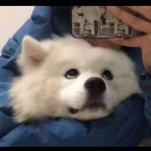 嗯⋯啊被抵在树干H野战电视
