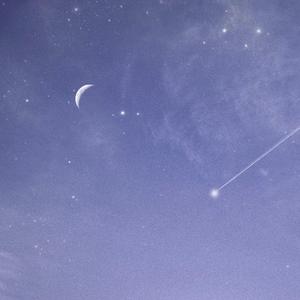 嗯⋯啊被抵在树干H野战电视
